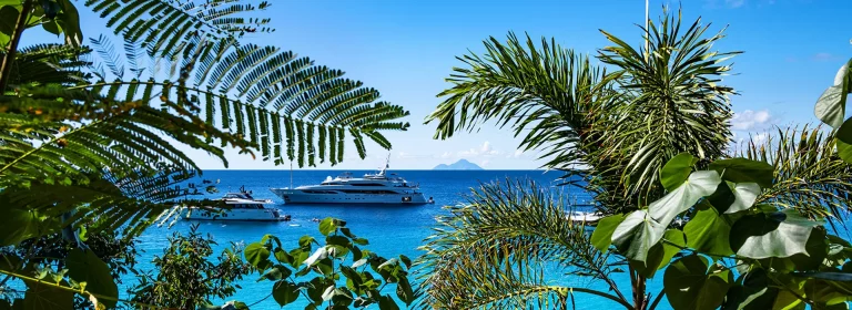 Yachts-Bateaux-Vegetation-HD-SansLogo